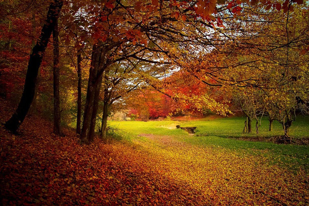 10 Reasons Why We All Love Fall