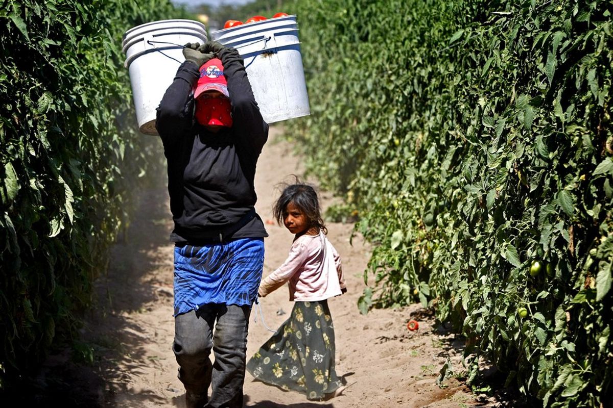 How "Illegal Aliens" Are Helping Feed This Country