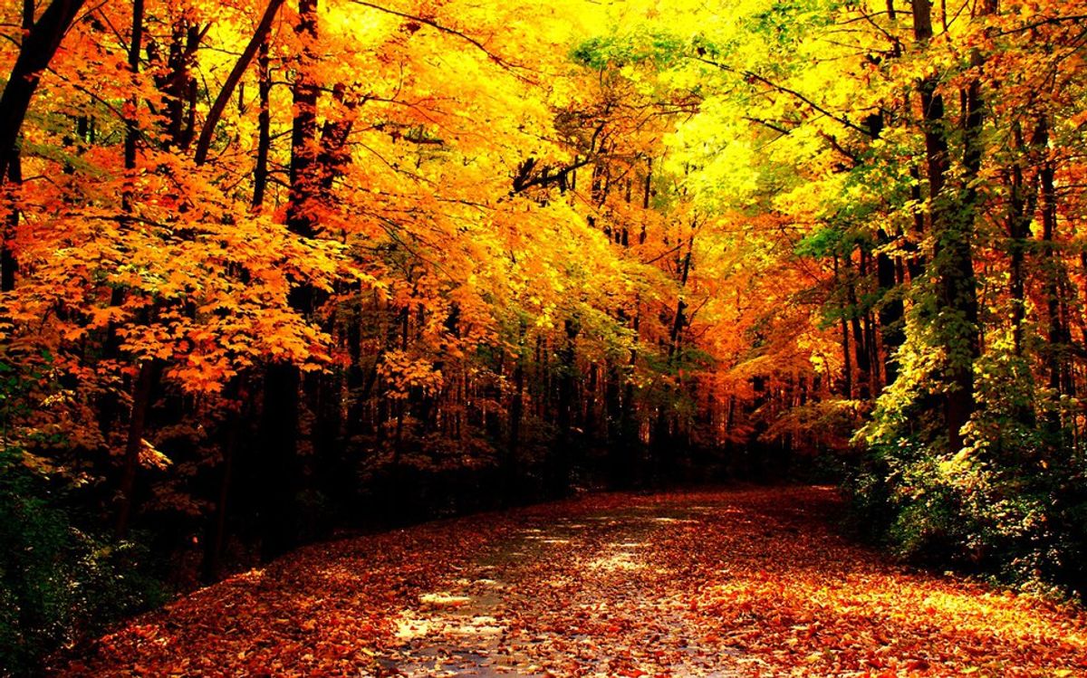 An Autumn Playlist To Get You In The Mood For Colder Weather & Colorful Leaves