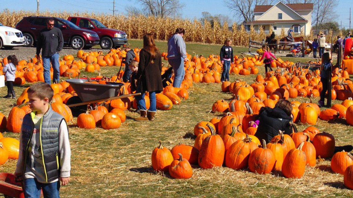 8 Things To Do On Long Island During Fall