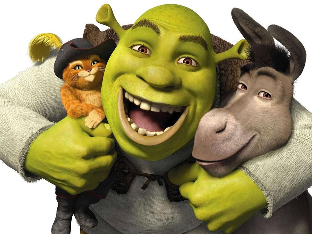 10 Friends Everybody Has: Shrek Style!