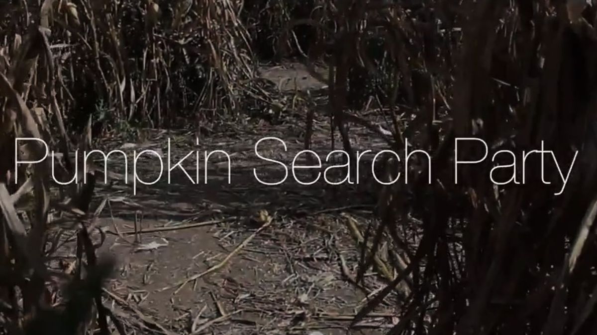 Video: Pumpkin Search Party