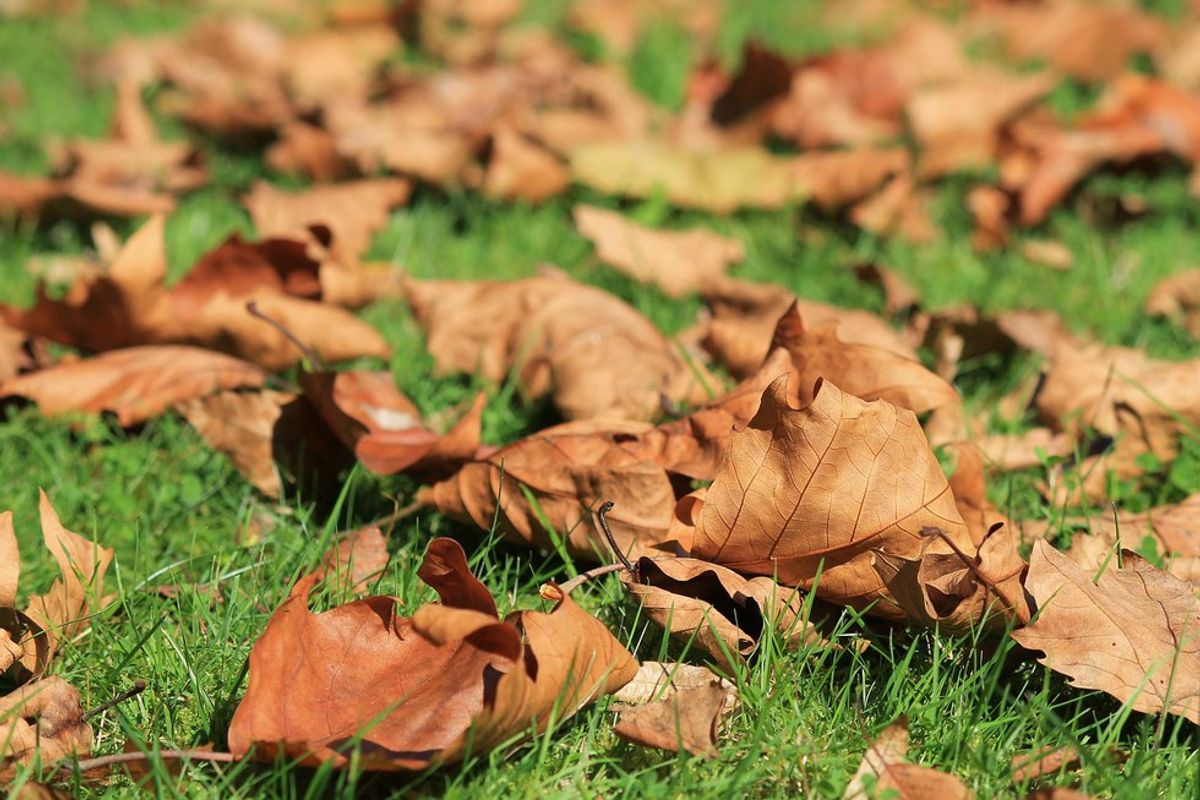 13 Songs For Your Autumn Playlist