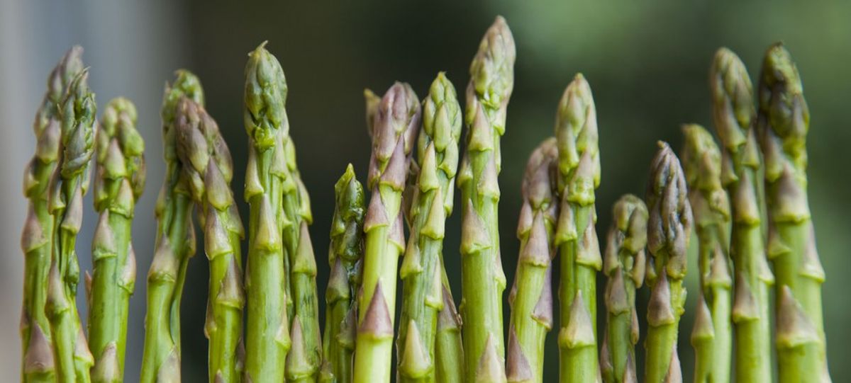 Asparagus: The Superfood That Could Improve Your Sex Life