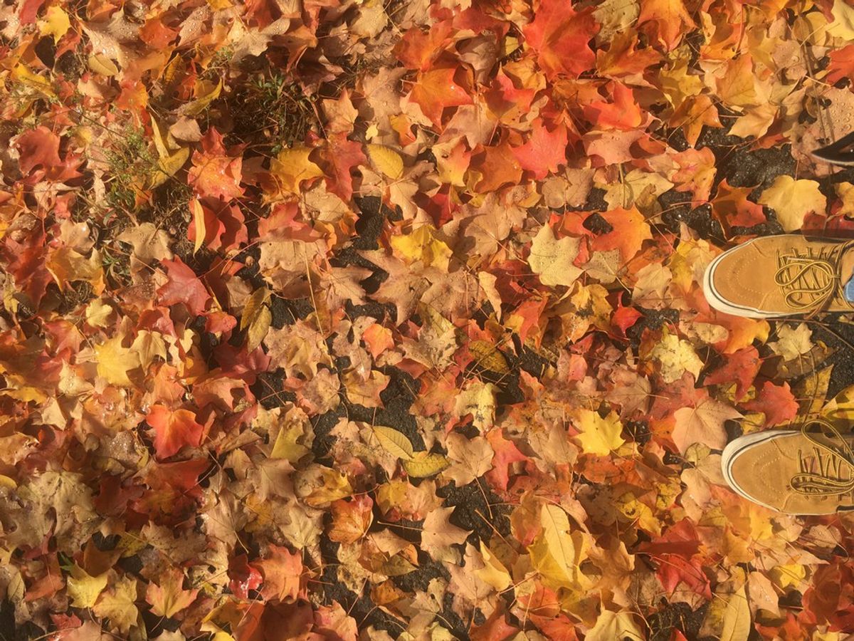 6 Great Things About Fall in New England