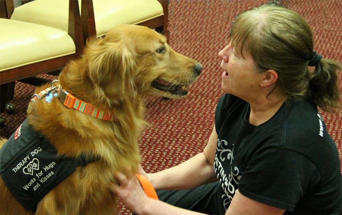 5 Reasons Therapy Dogs Are Helpful