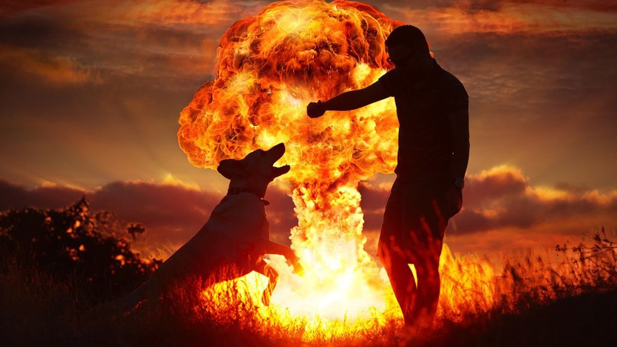 5 Reasons Why Man's Best Friends Will Be Useful During The Apocalypse