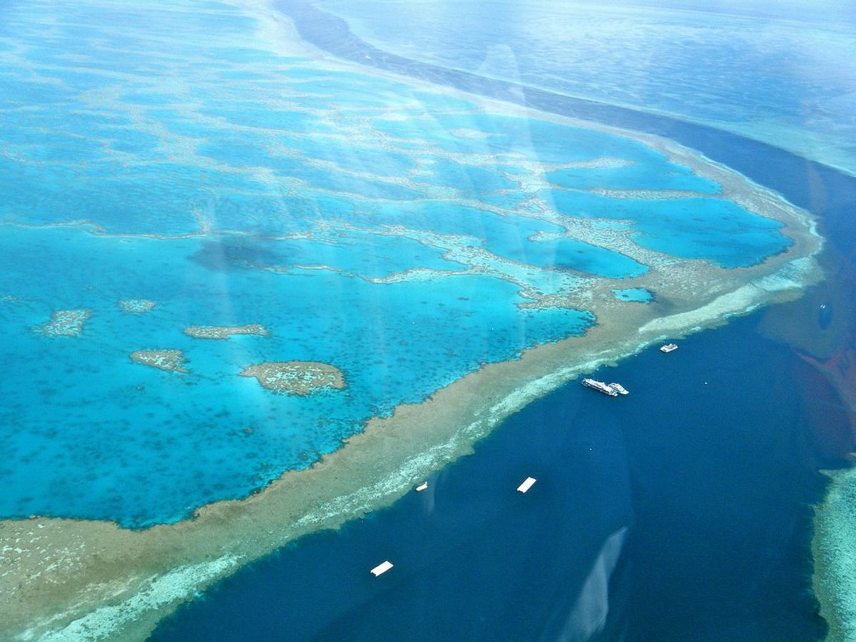 The Death Of The Great Barrier Reef