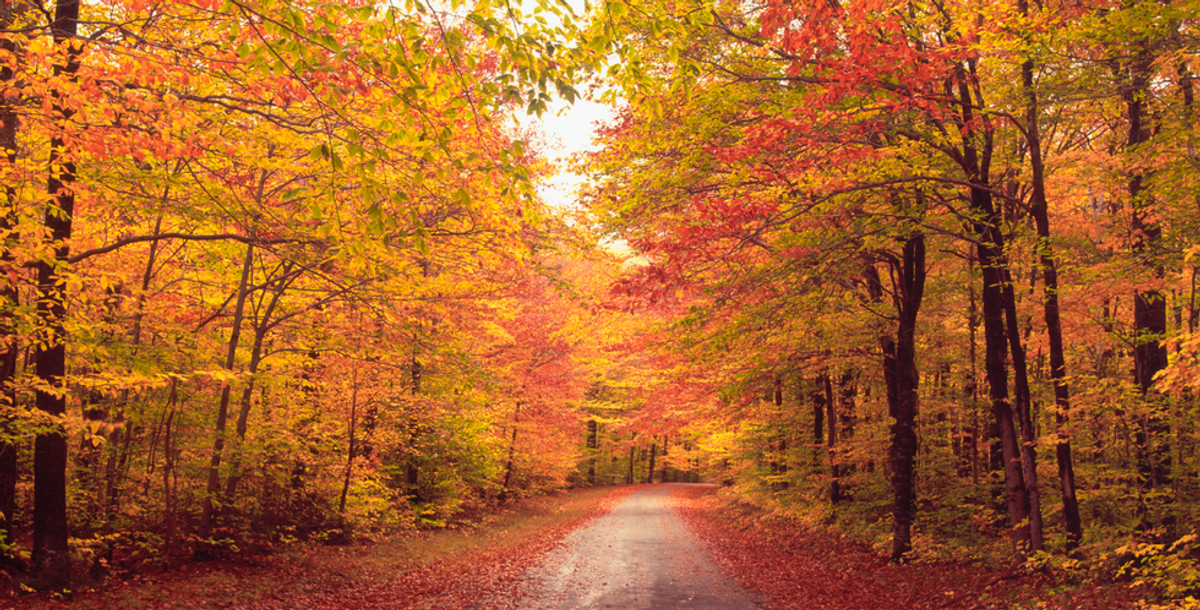 5 Fall Things To Do If You're A Person Who Hates Fall
