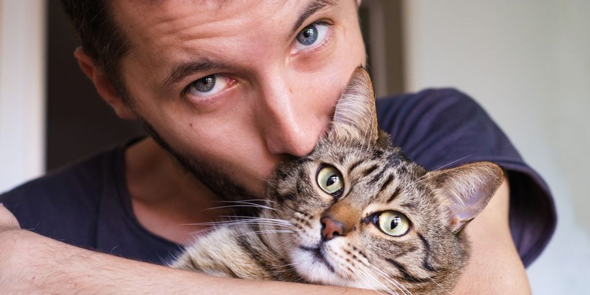 10 Products That Cat Owners Will Love