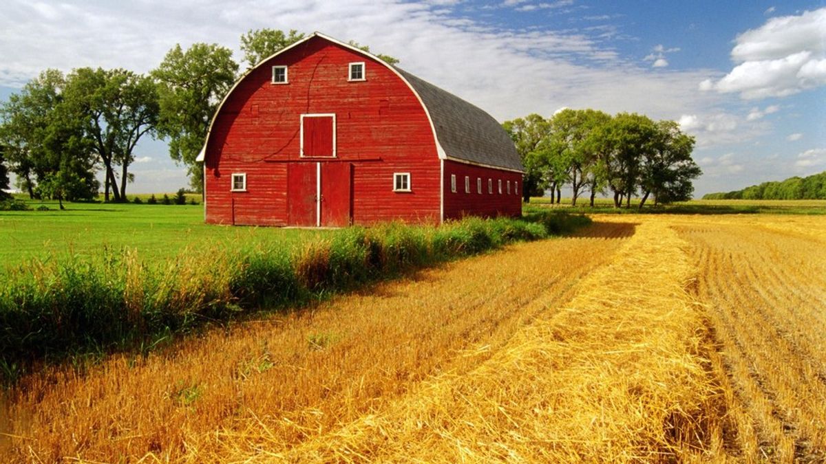 15 Signs You Grew Up In Iowa