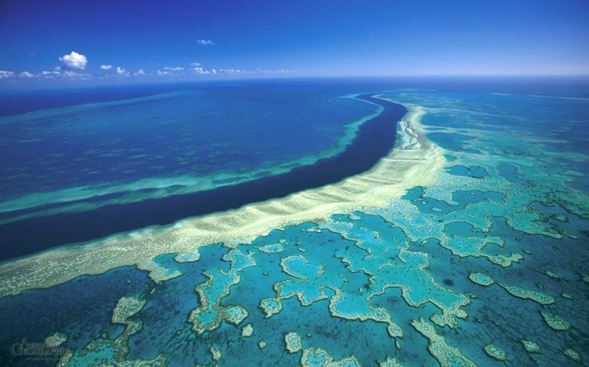 We Are Killing the Great Barrier Reef