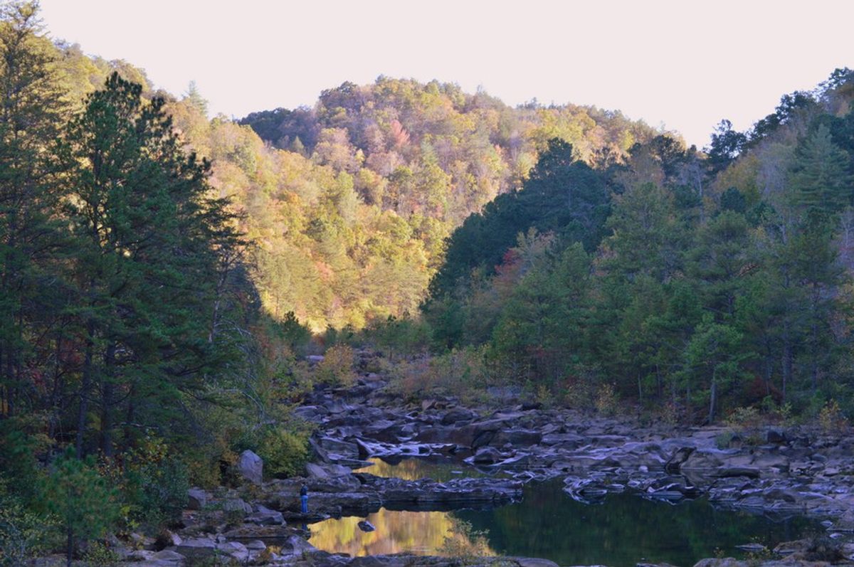 Fall In Love With The Ocoee River Gorge