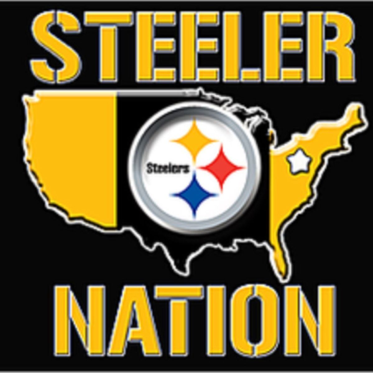 The Turbulence of Steeler Nation