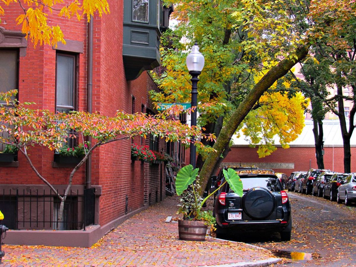 6 Reasons You Should Never Visit Boston in the Fall