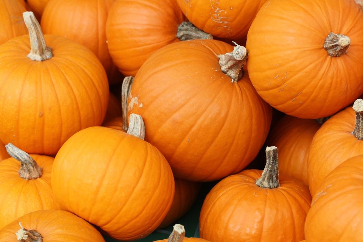 5 Ways To Use Your Pumpkin After Halloween