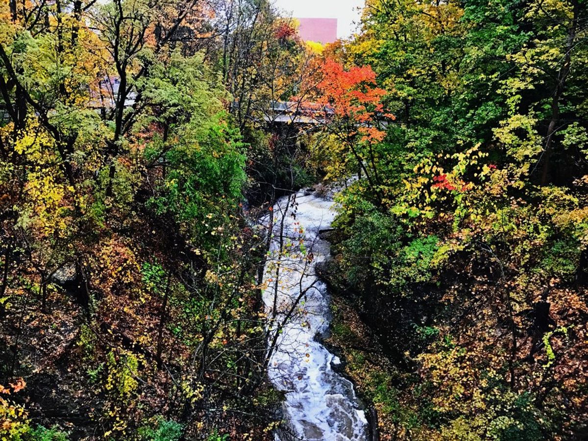6 Things I Miss About Ithaca, NY
