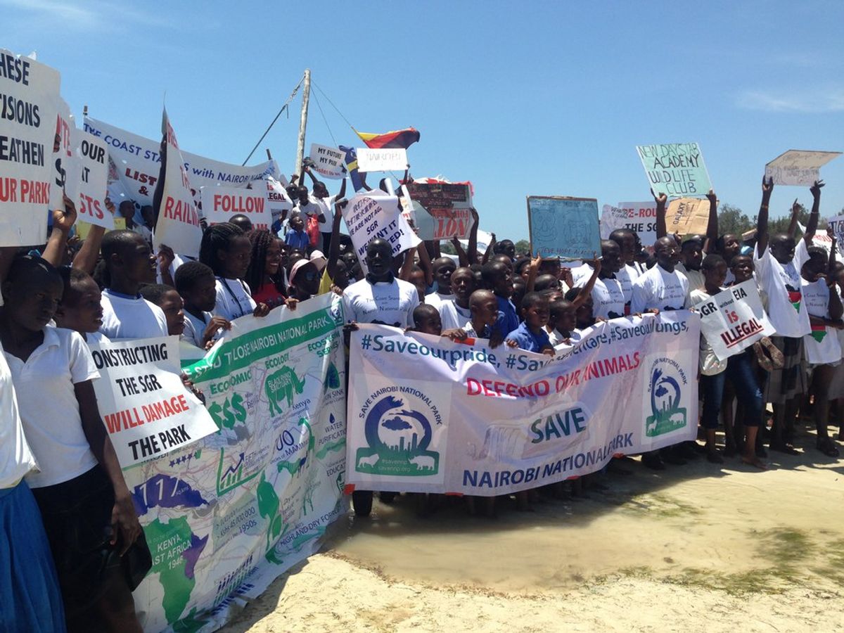 The Kenyan Coast Rallies With Nairobi To Save Nairobi National Park