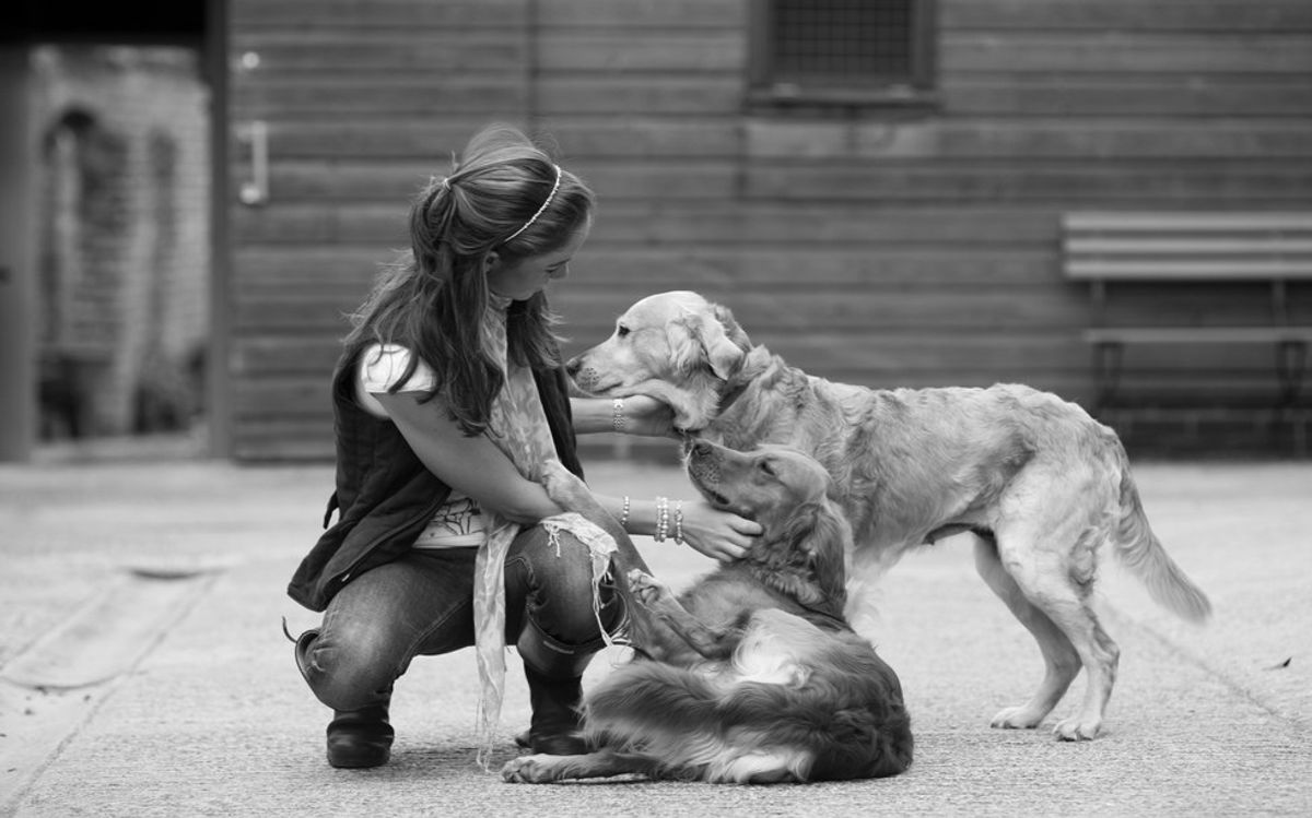 Why Dogs Make The Best Companions