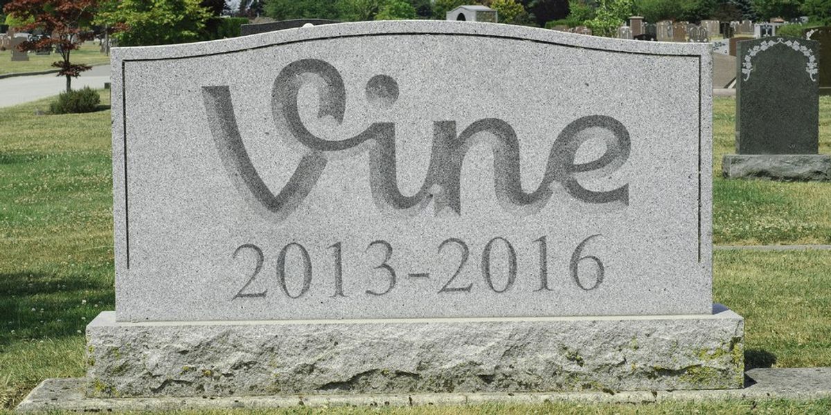 My Thoughts About Vine Shutting Down