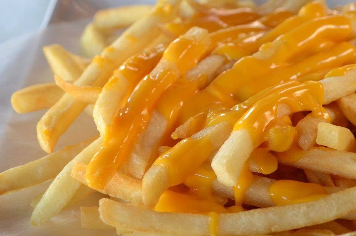 9 Things Cheese Fries Are Better Than