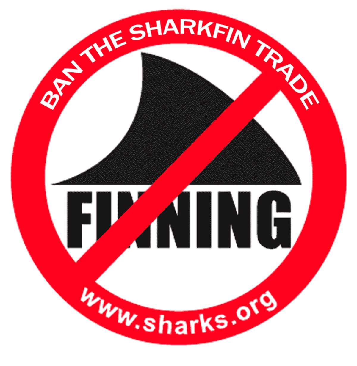 UPS Bans Shark Fin Shipments