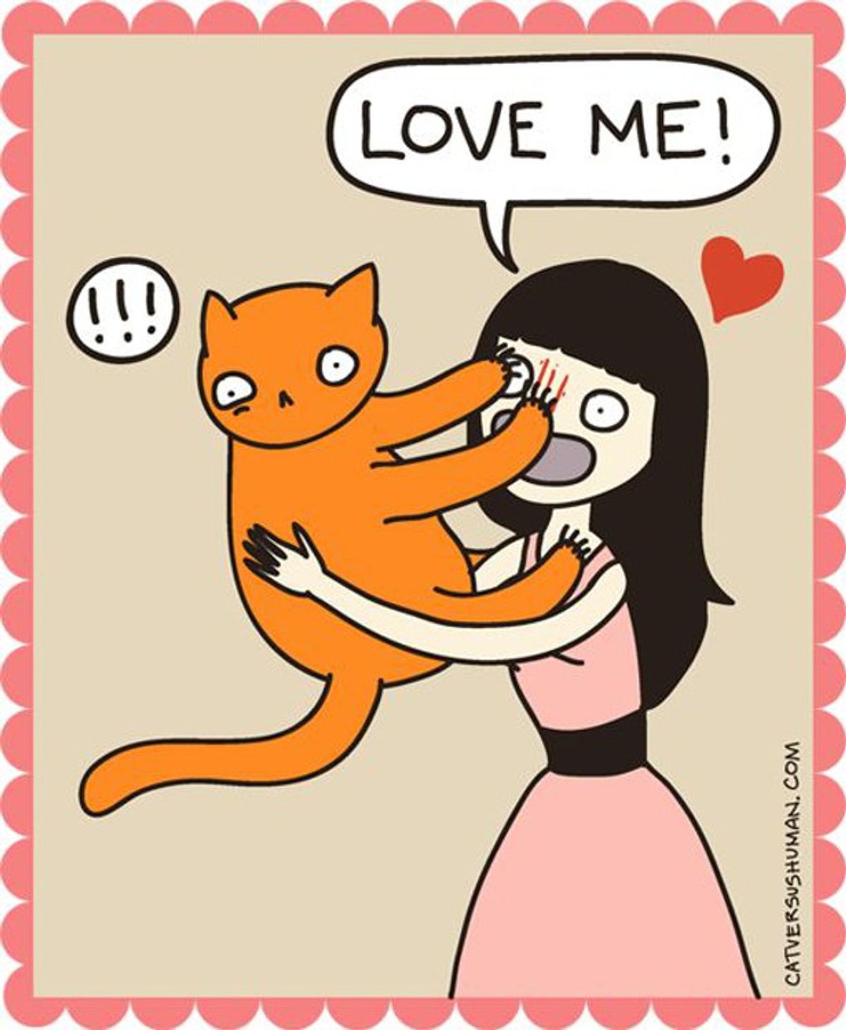 Why You Have A Love Hate Relationship With Your Cat