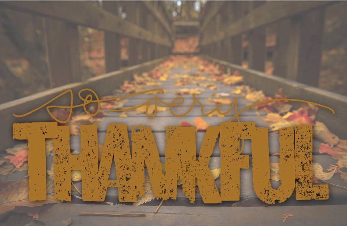 7 things I'm thankful for this week