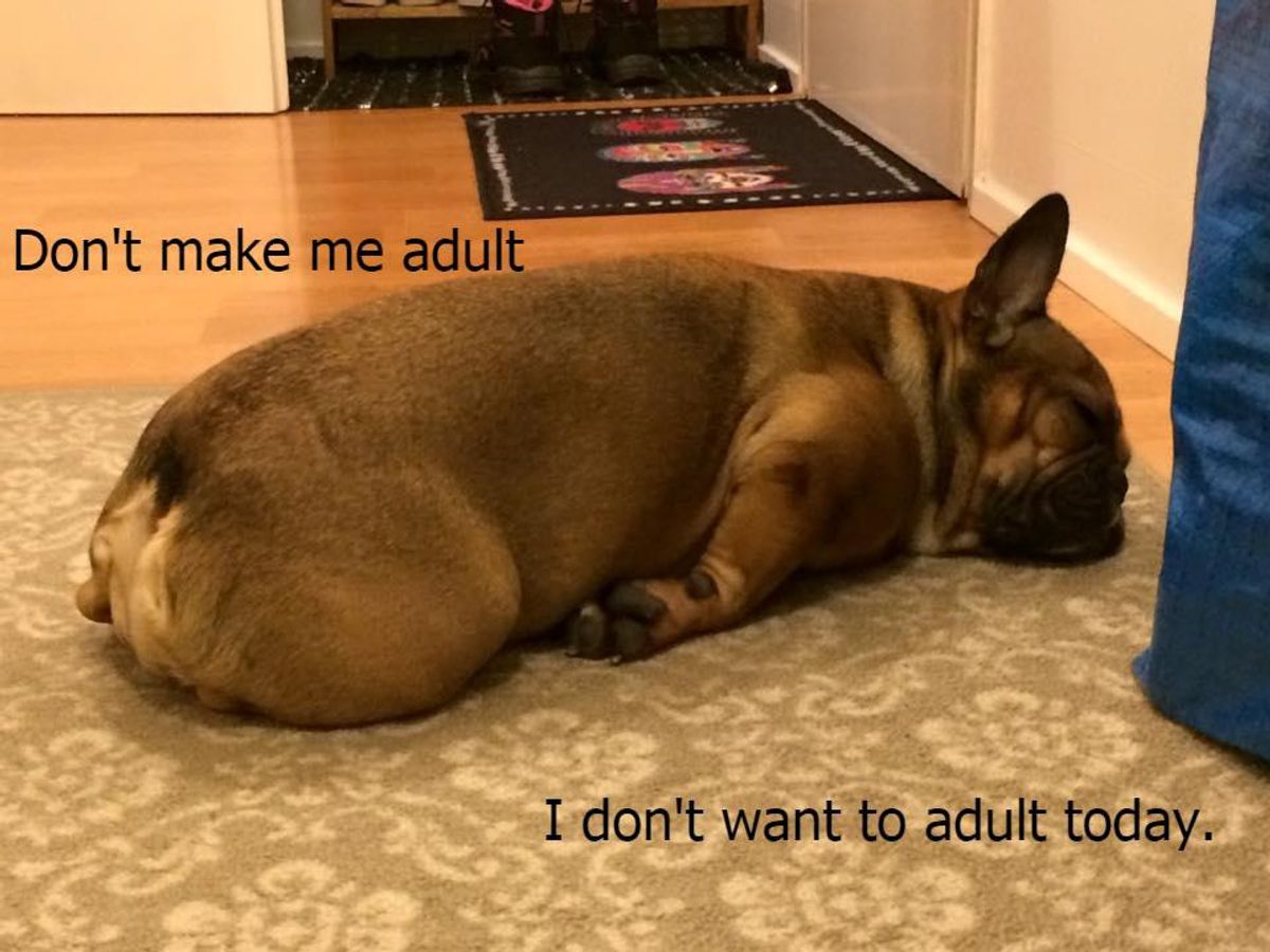 The Real Life Of "Adulting"