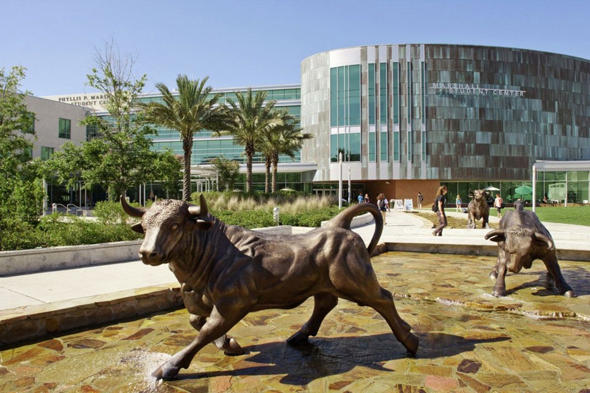 11 Things USF Students Should Take Advantage Of