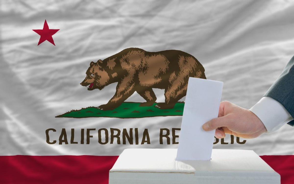 9 Thoughts While Looking At The California Voting Ballot