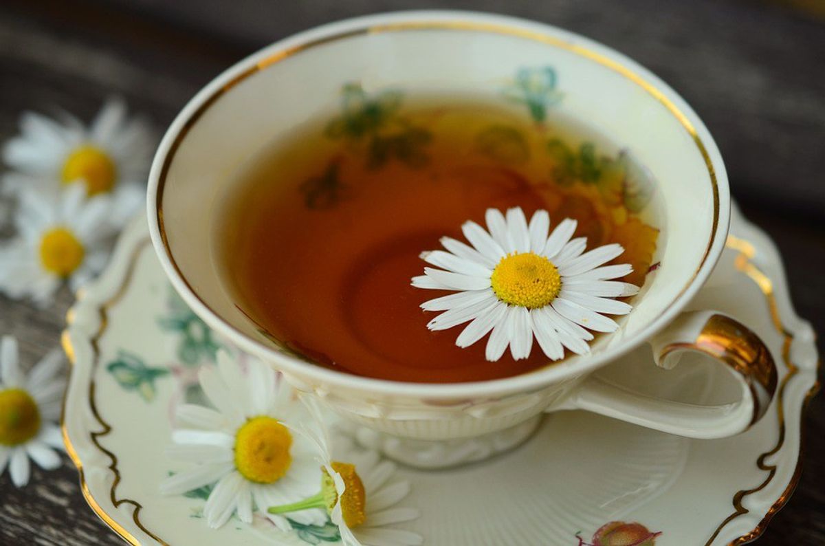 5 Teas Everyone Must Have at Home