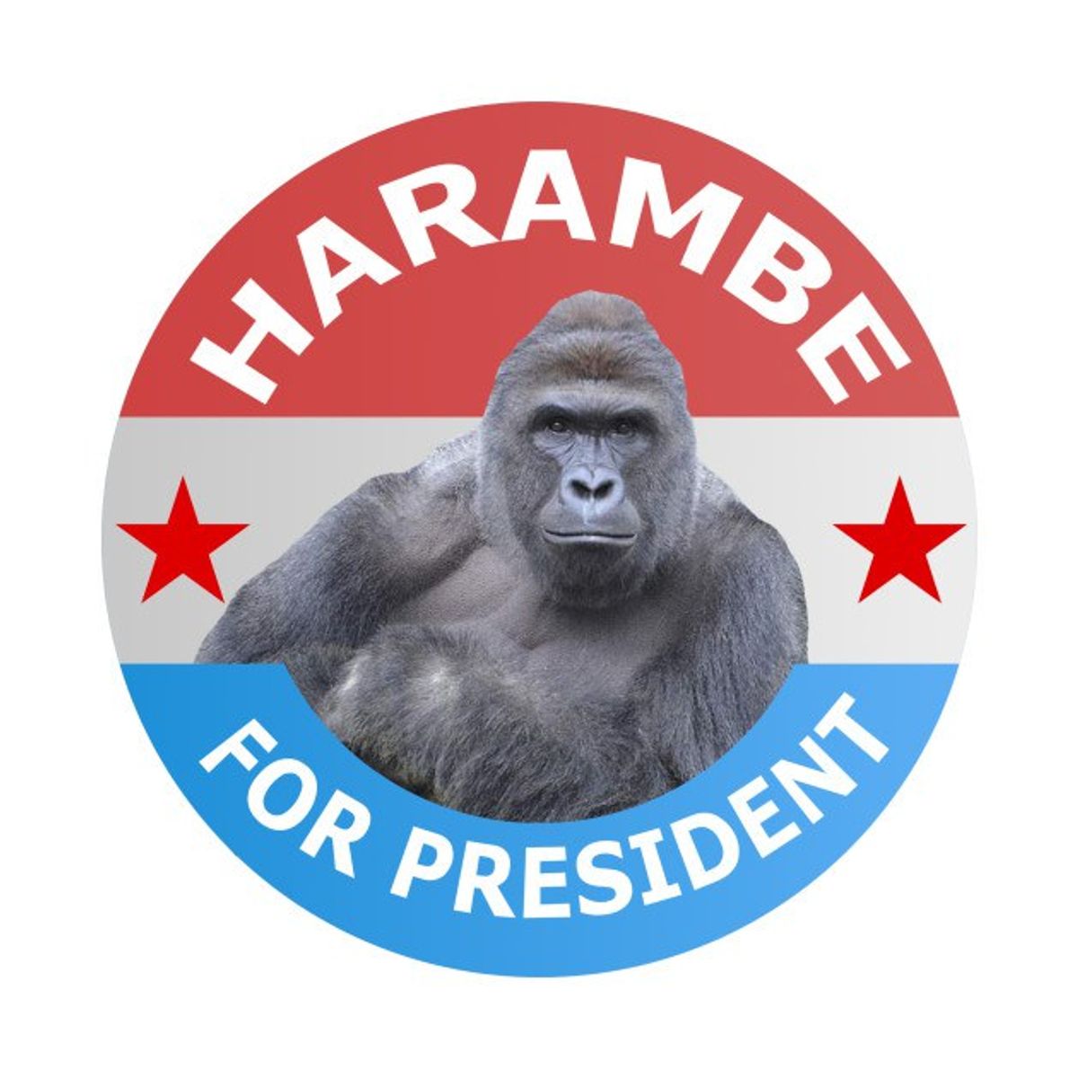 An Open Letter To The Person Who Voted For Harambe