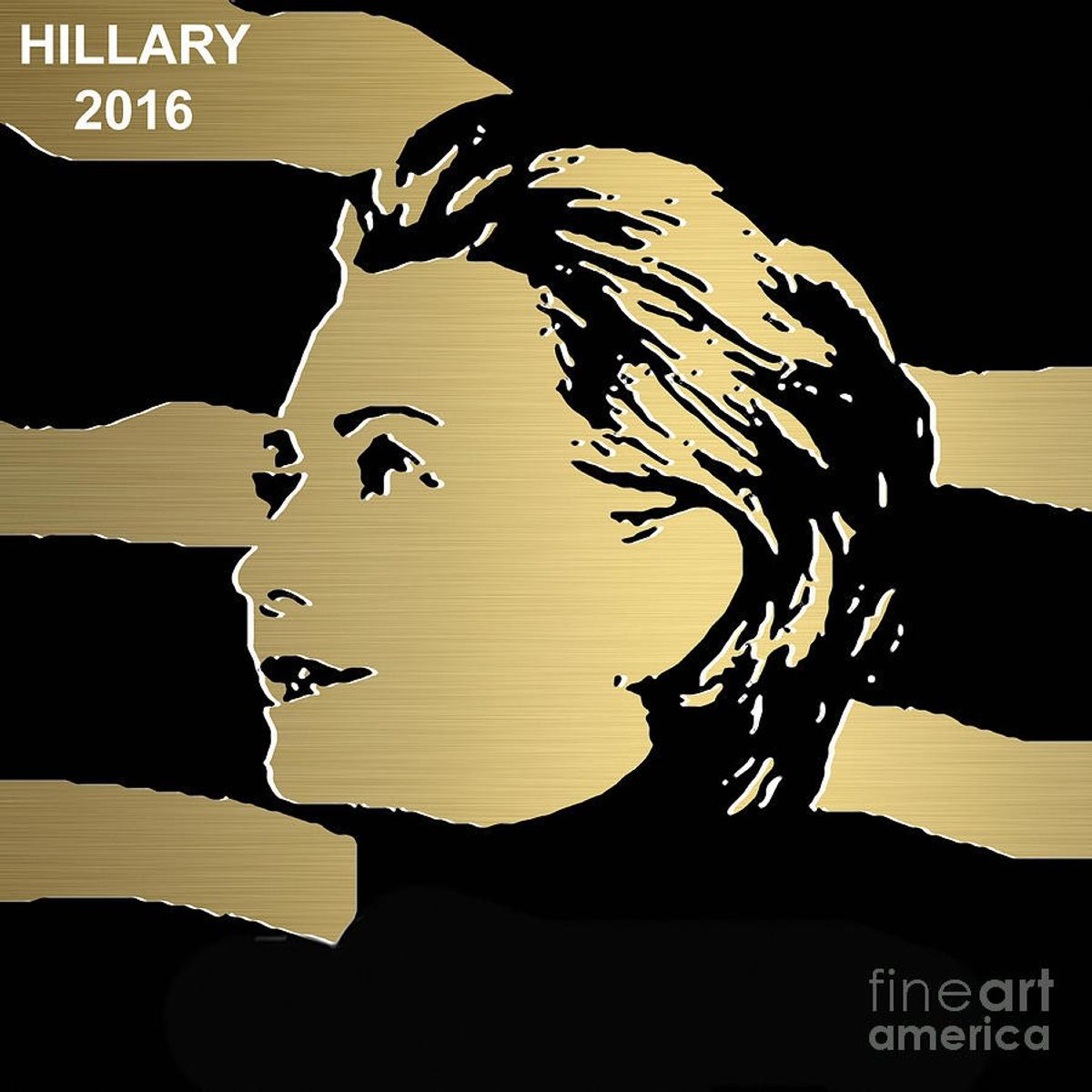 Hilary Clinton's Election Journey