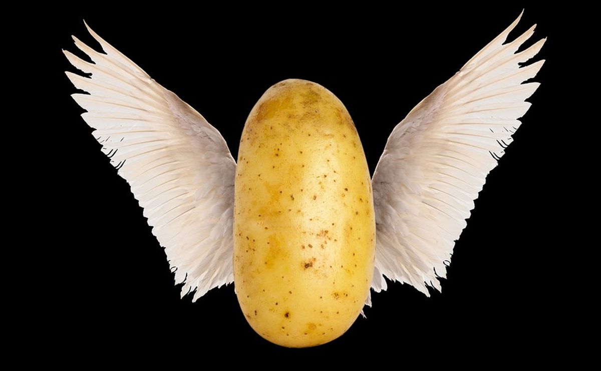 10 Reasons Why Potatoes Are The Best Food