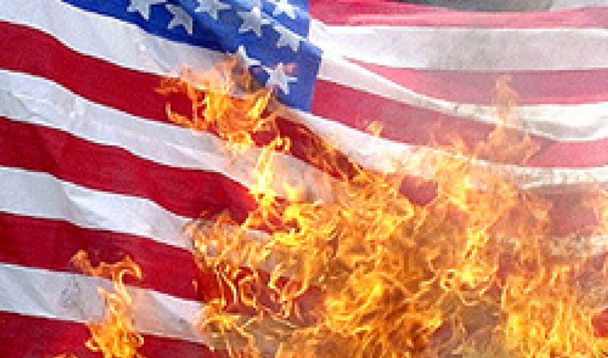 To The Men And Women Who Chose To Burn The American Flag.