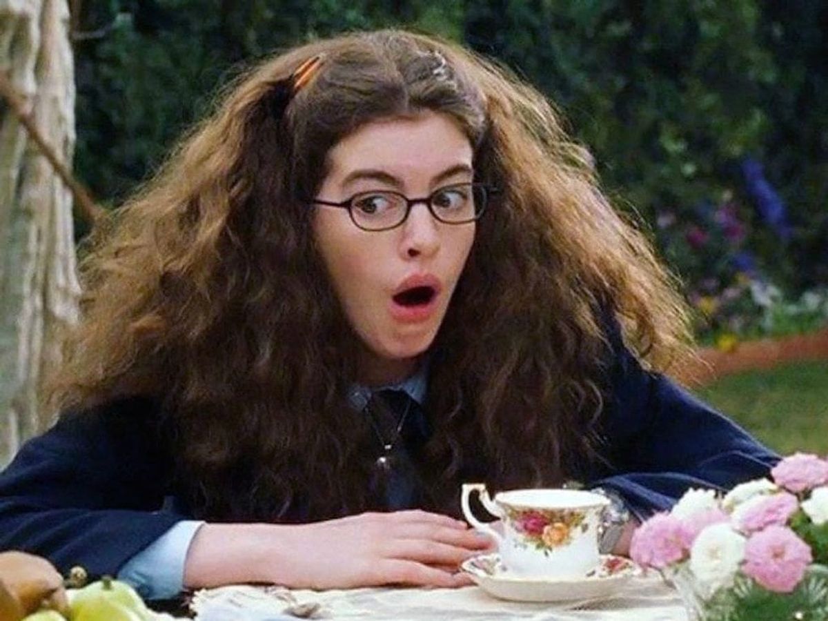 15 Lessons We Learned From 'The Princess Diaries'