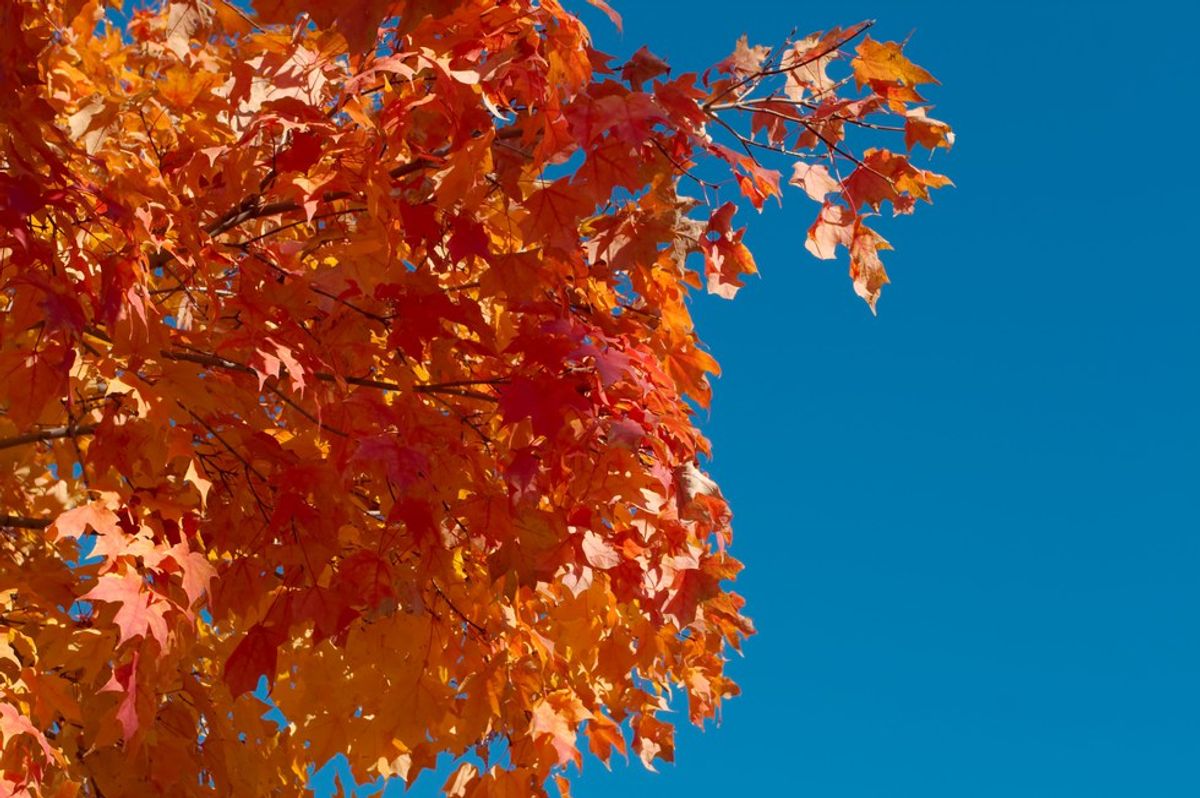 10 Things To Be Happy About This Fall