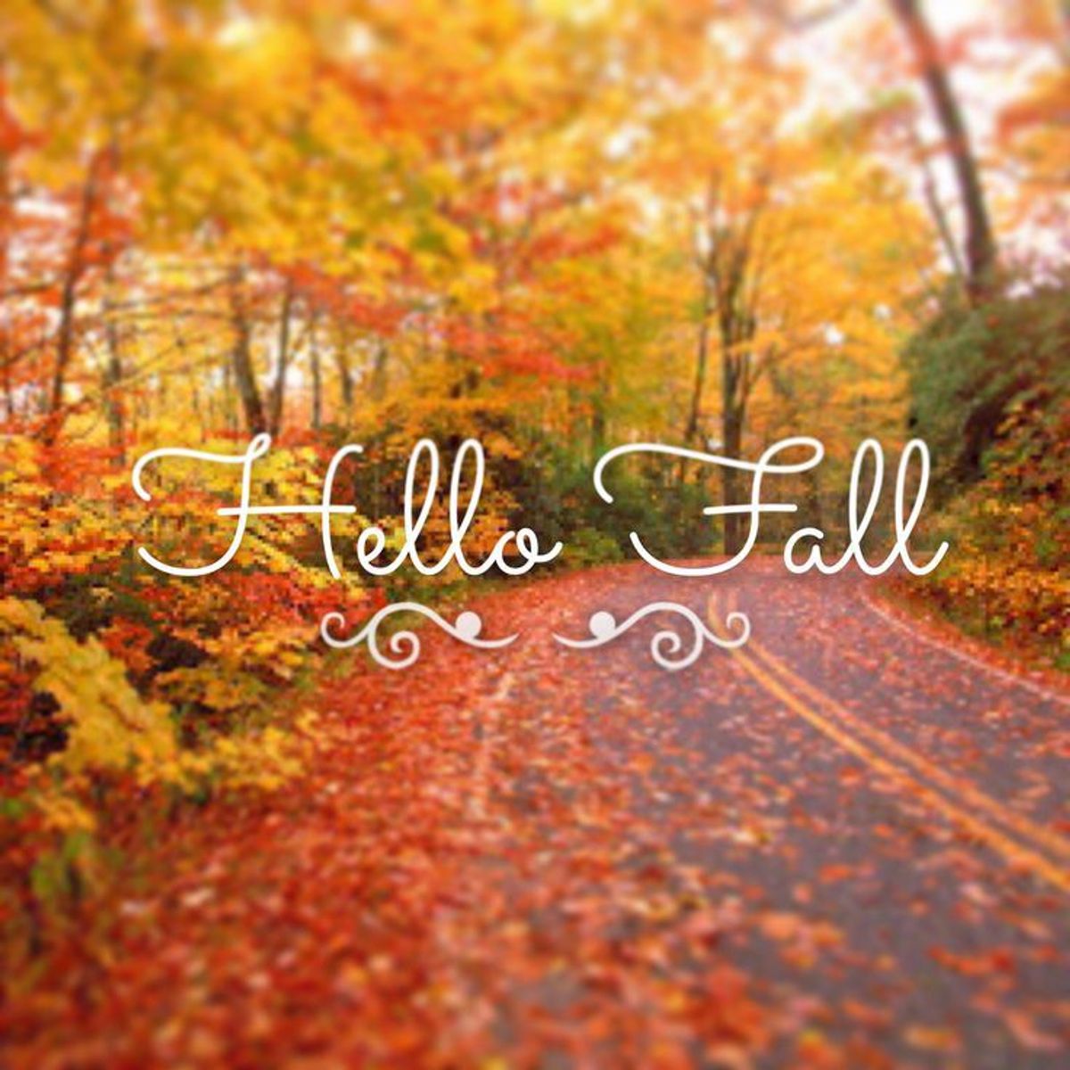 10 Things To Do Before Fall Ends