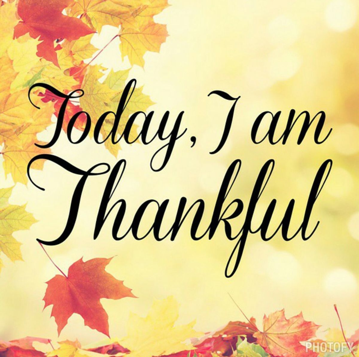 I Am Grateful