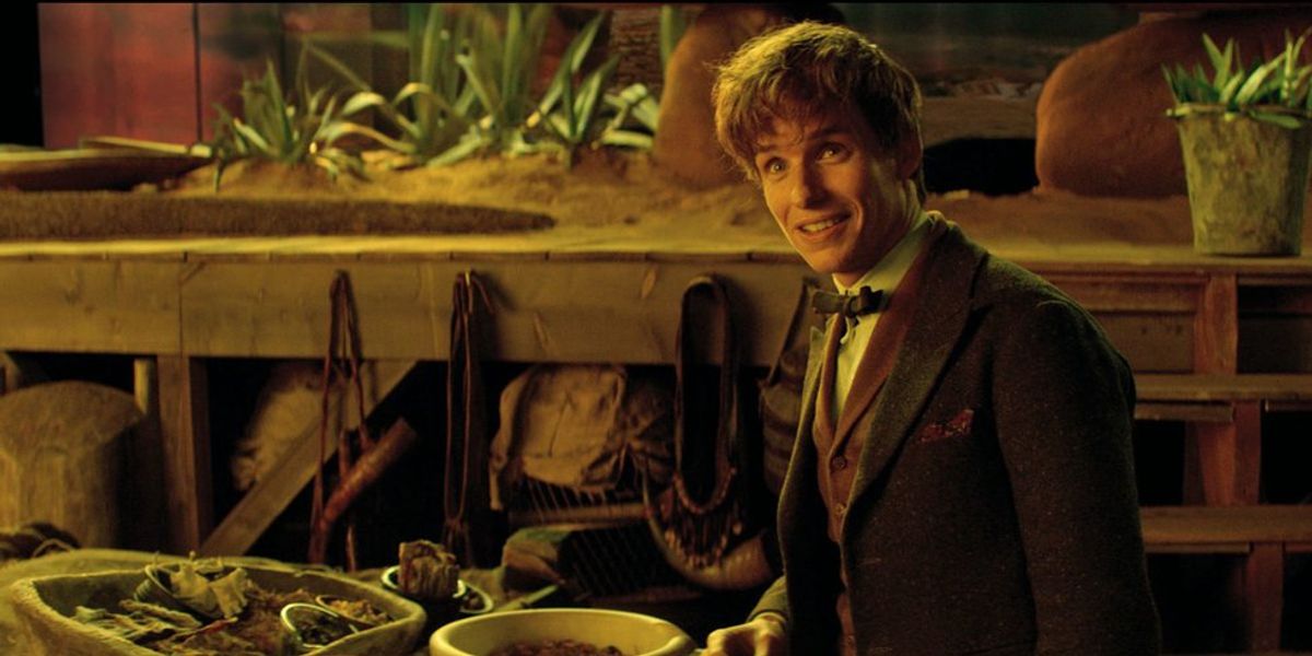 'Fantastic Beasts' Is Here And Proves That Magic Does Exist