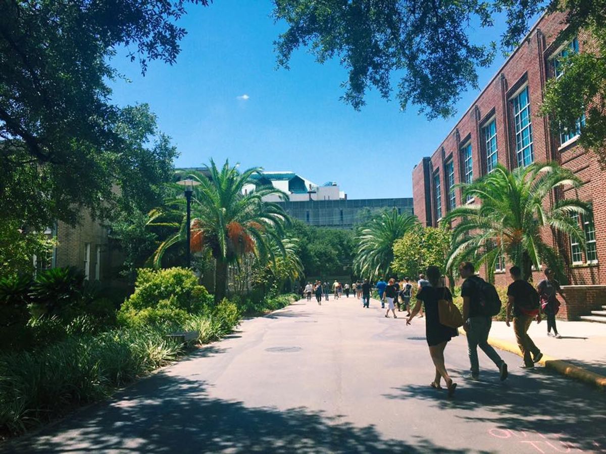 10 Reasons Why Tulane University Is My "Just Right"