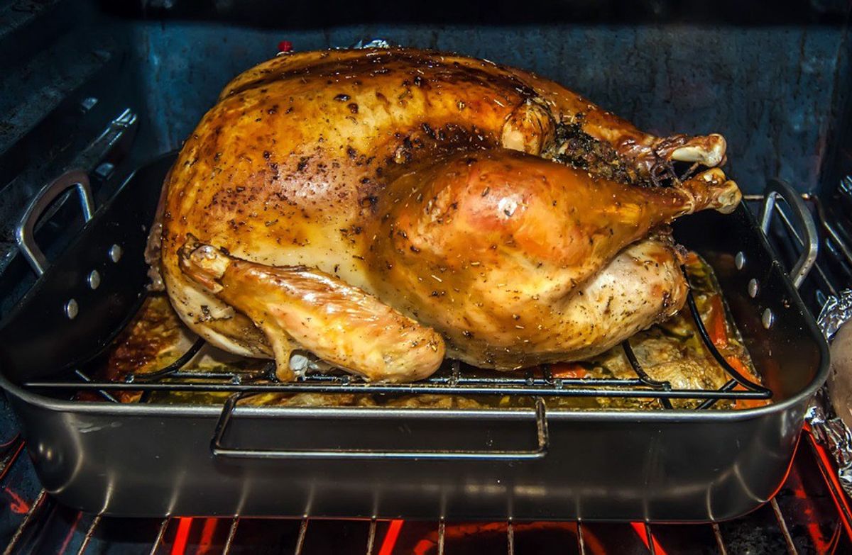 5 Healthy Facts About Your Thanksgiving Turkey