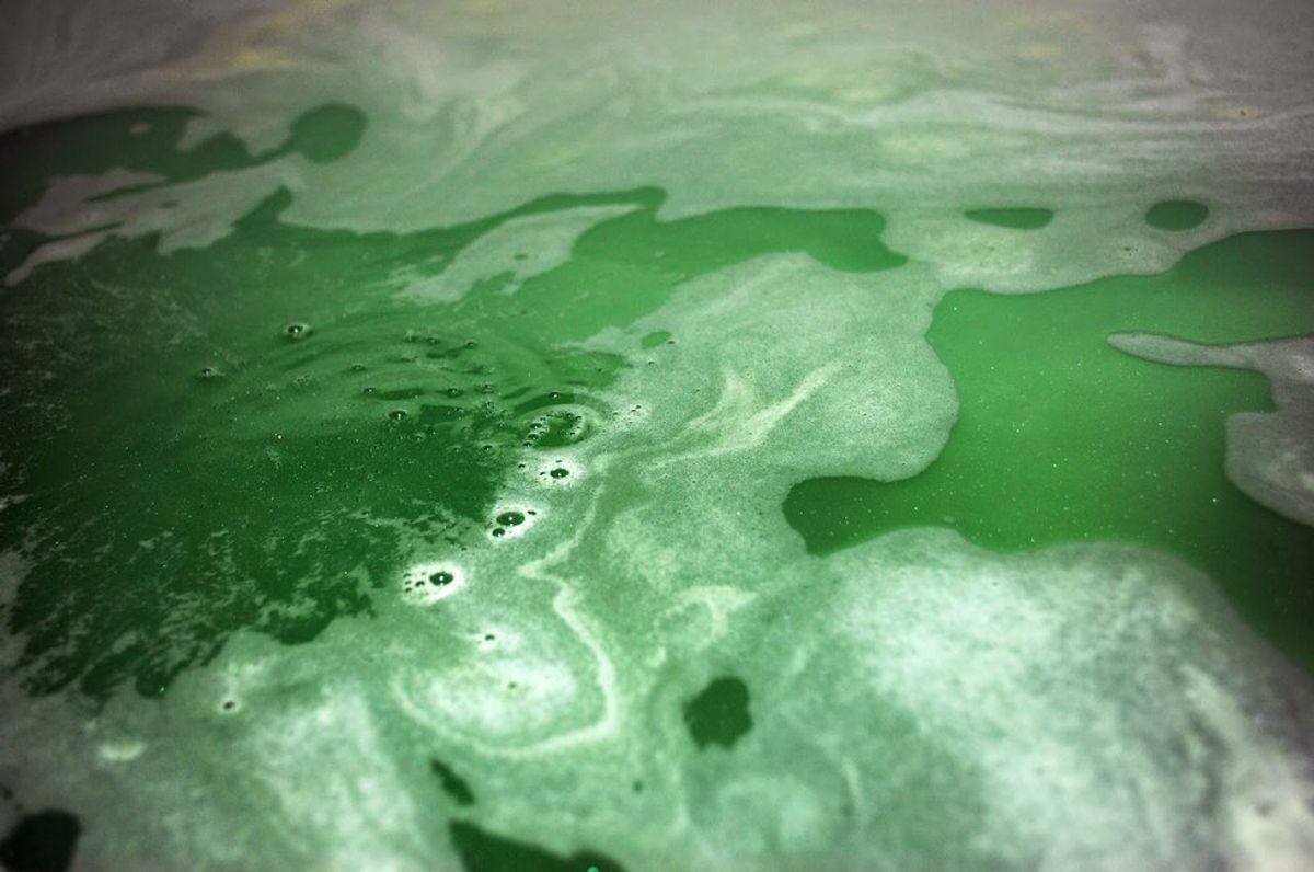 The Day The Water Turned Green