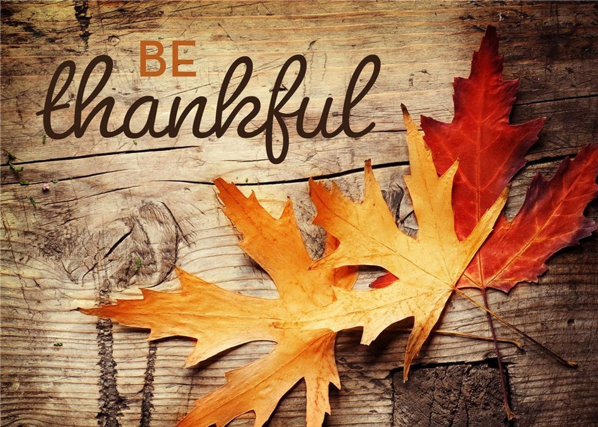 8 Things I Am Grateful For This Thanksgiving