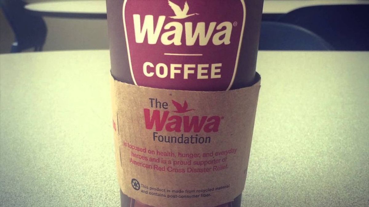 25 Relateable Things About Wawa