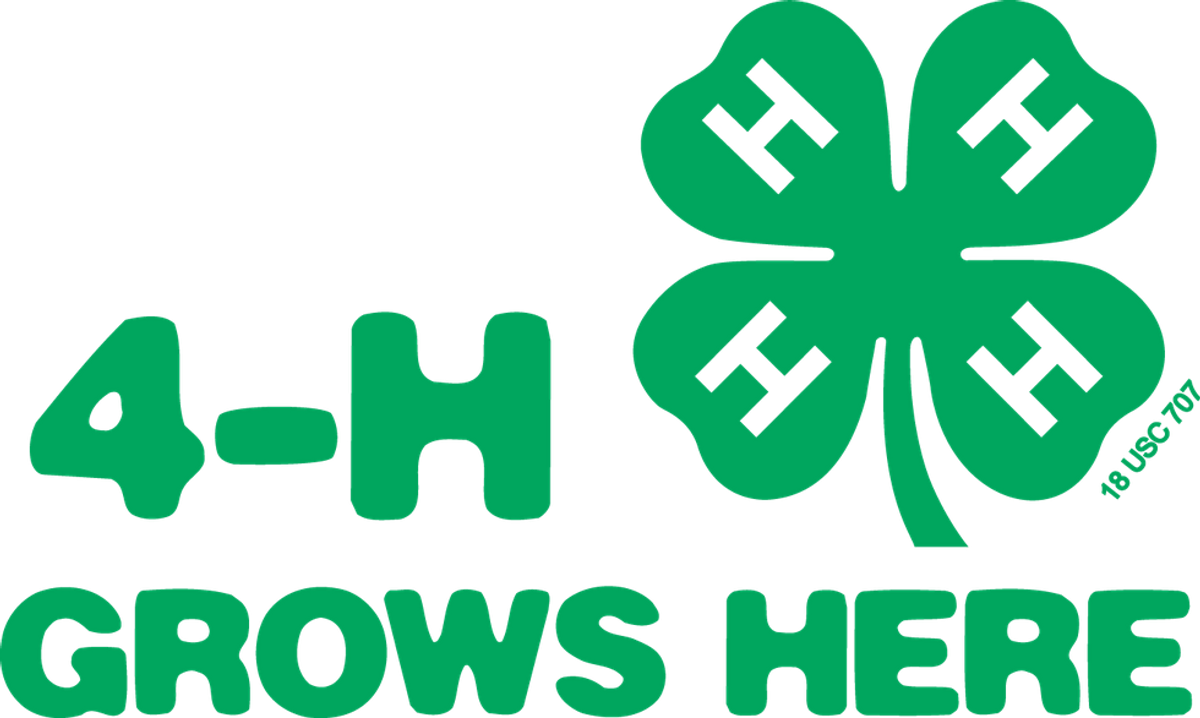 How Ten Years In 4-H Changed My Life