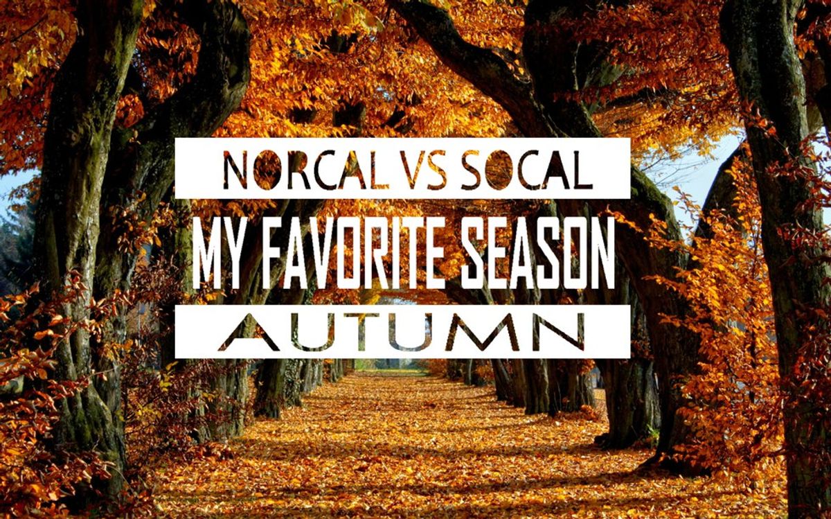 NorCal Vs. SoCal: My Favorite Season Autumn