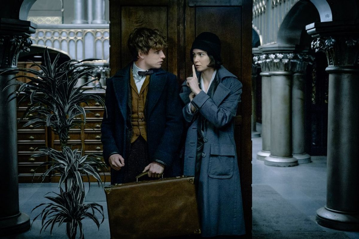 "Fantastic Beasts" Lives Up To Its Name
