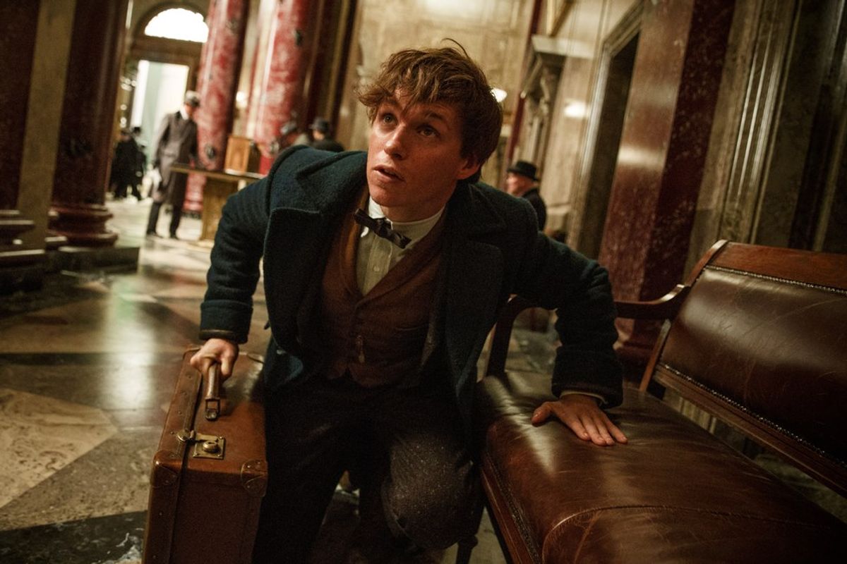 "Fantastic Beasts and Where to Find Them" Review